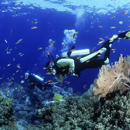 Ars Vivendi アパート トロギール