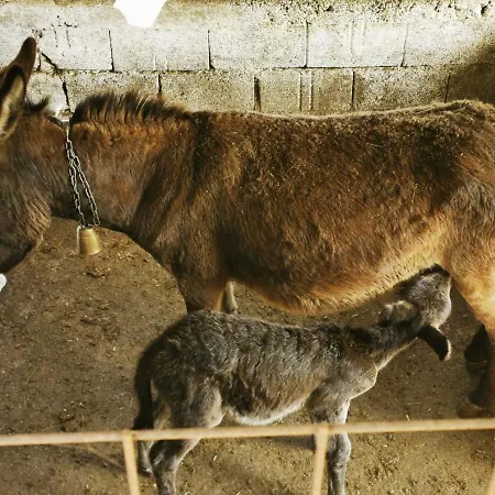 Ars Vivendi Appartement