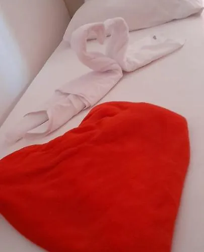 Ars Vivendi * 特罗吉尔