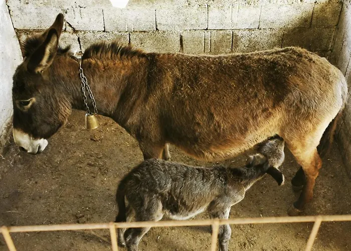 Ars Vivendi Lejlighed